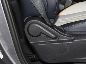 2023܊ DM-i 110KM Ş g