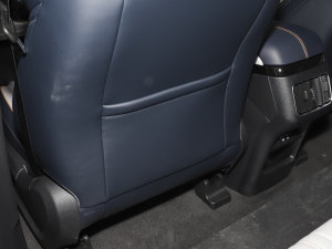 2023܊ DM-i 110KM Ş g