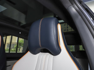 2023܊ DM-i 110KM Ş g