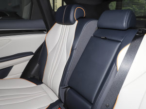 2023܊ DM-i 110KM Ş g