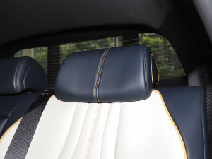 2023܊ DM-i 110KM Ş g