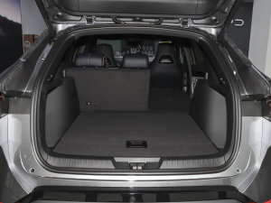 2023܊ DM-i 110KM Ş g