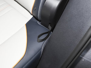 2023܊ DM-i 110KM Ş g