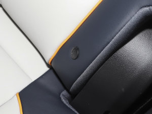 2023܊ DM-i 110KM Ş g