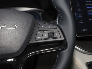 2023܊ DM-i 110KM Ş п؅^