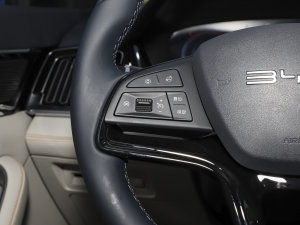 2023܊ DM-i 110KM Ş п؅^