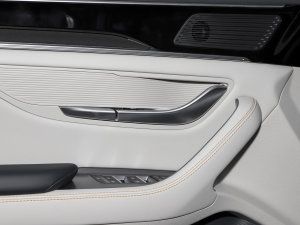 2023܊ DM-i 110KM Ş п؅^