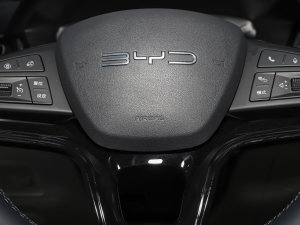 2023܊ DM-i 110KM Ş п؅^