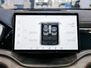 2023܊ DM-i 110KM ŞPLUS g