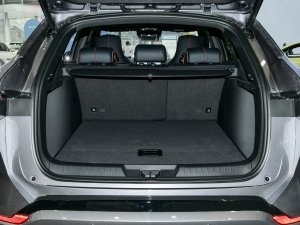 2023܊ DM-i 110KM ŞPLUS g