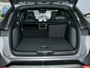 2023܊ DM-i 110KM ŞPLUS g