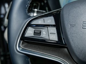 2023܊ DM-i 110KM ŞPLUS п؅^