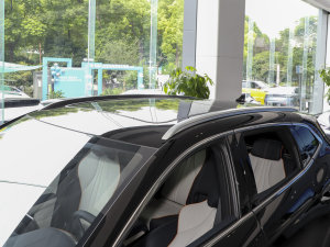 2023款冠军版 EV 605KM 旗舰PLUS 车顶