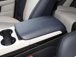 2023款冠军版 EV 605KM 旗舰PLUS 中央扶手箱