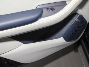 2023款冠军版 EV 605KM 旗舰PLUS 后门储物空间