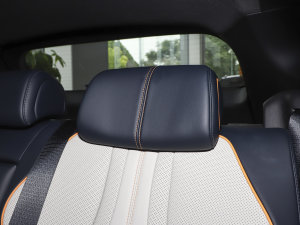 2023܊ EV 605KM ŞPLUS g