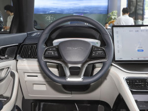 2023款冠军版 EV 605KM 旗舰PLUS 方向盘