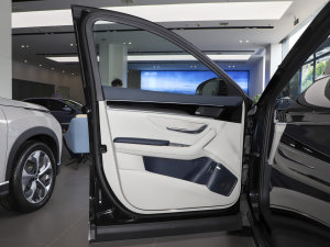 2023款冠军版 EV 605KM 旗舰PLUS 驾驶位车门