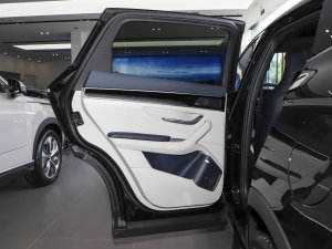 2023款冠军版 EV 605KM 旗舰PLUS 左后车门