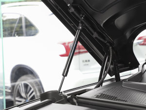 2023款冠军版 EV 605KM 旗舰PLUS 其它