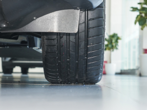 2023܊ EV 520KM F (x)(ji)^