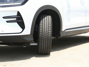 2023款冠军版 EV 520KM 旗舰型 细节外观