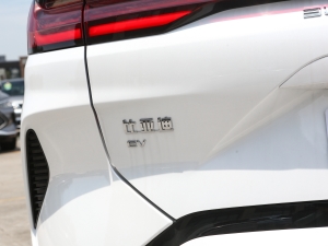 2023款冠军版 EV 520KM 旗舰型 细节外观
