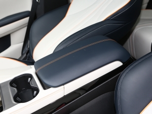 2023款冠军版 EV 520KM 旗舰型 中央扶手箱
