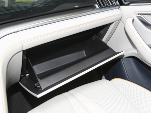 2023款冠军版 EV 520KM 旗舰型 手套箱