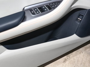 2023款冠军版 EV 520KM 旗舰型 前门储物空间