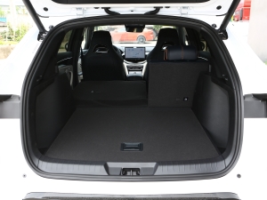 2023款冠军版 EV 520KM 旗舰型 空间座椅