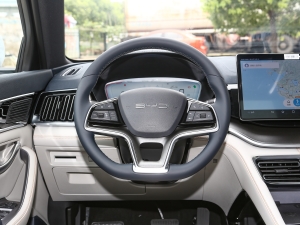 2023款宋PLUS EV 冠军版 EV 520KM 旗舰型