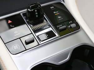2023款冠军版 EV 520KM 旗舰型 驻车制动器