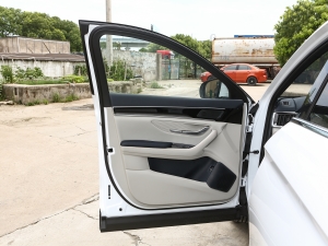 2023款冠军版 EV 520KM 旗舰型 驾驶位车门