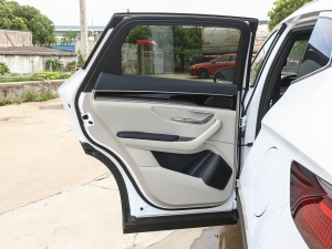 2023款冠军版 EV 520KM 旗舰型 左后车门