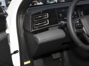 2024DM-i 120KMԽ п؅^