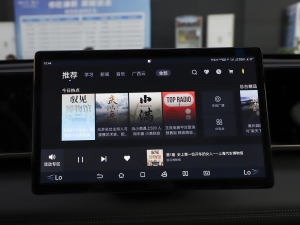 2024DM-i 120KMԽ п؅^