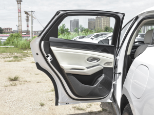 2024DM-i 80KMI п؅^