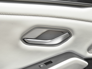 2024DM-i 80KMI(lng) п؅^(q)