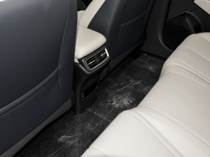 2024DM-i 80KMI(lng) п؅^(q)