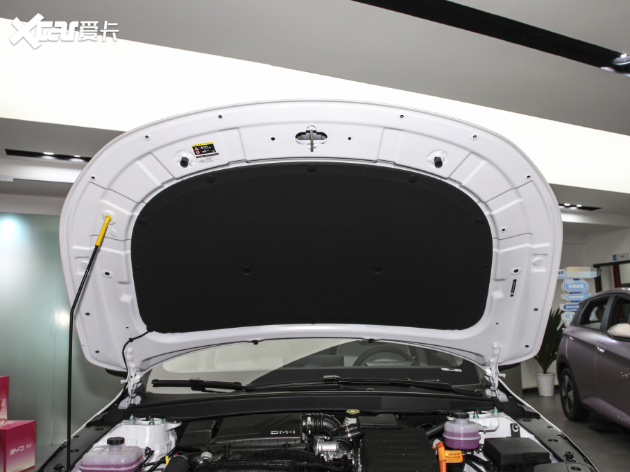 2024�����Ş05 �sҫ�� DM-i 55KM ���F��