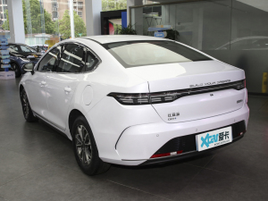 2024sҫ DM-i 55KM F w^