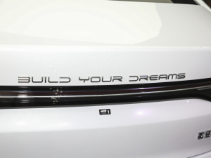 2024sҫ DM-i 55KM F ^