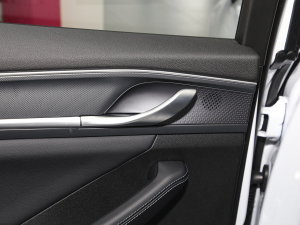 2024sҫ DM-i 55KM F п؅^