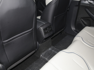 2024sҫ DM-i 55KM F п؅^