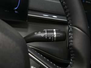 2024sҫ DM-i 55KM F п؅^