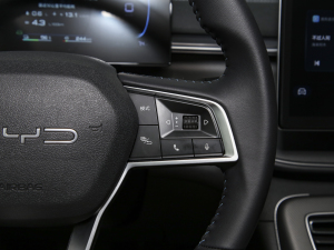 2024sҫ DM-i 55KM F п؅^