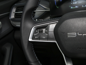 2024sҫ DM-i 55KM F п؅^