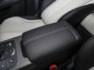 2024sҫ DM-i 55KM F п؅^