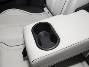 2024sҫ DM-i 55KM F g